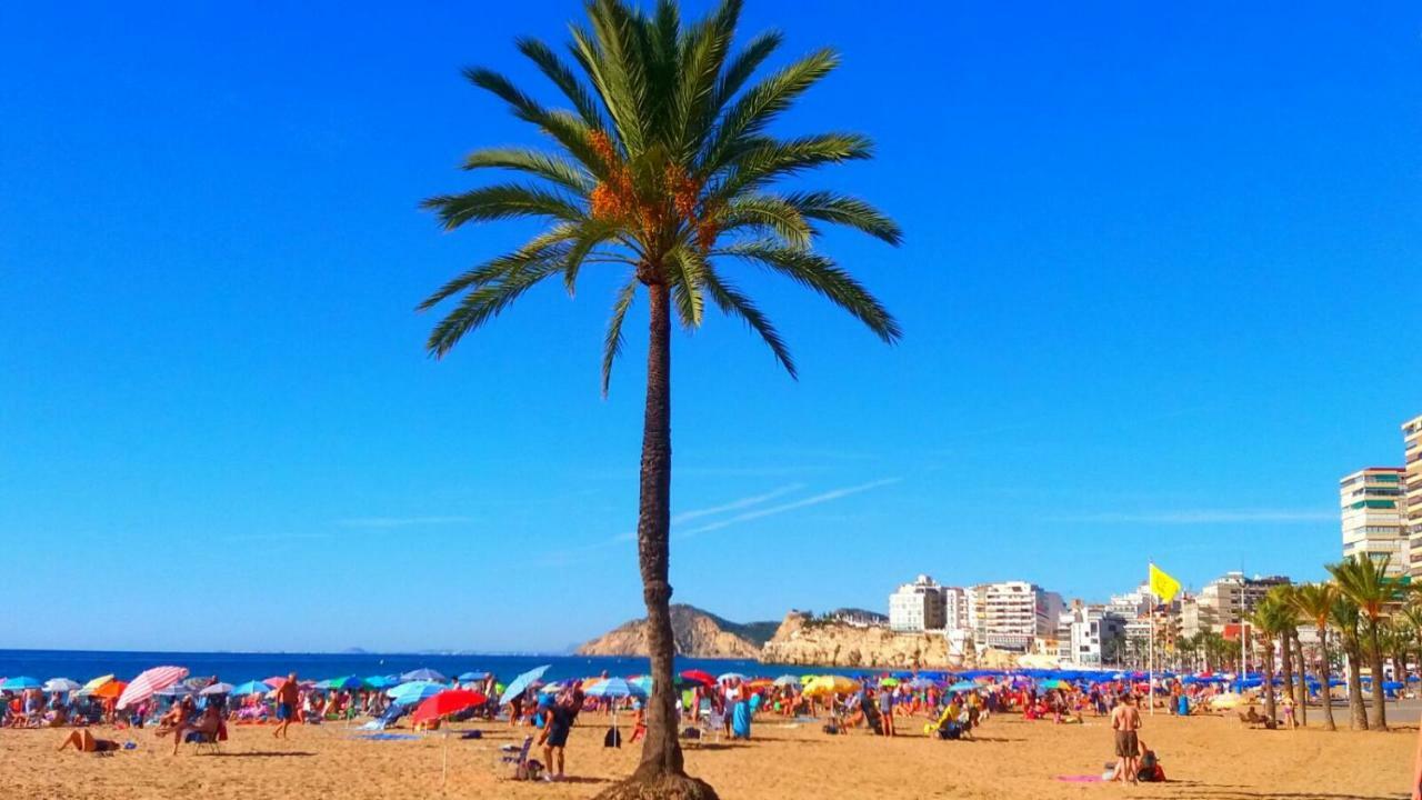 Appartement First Line Benidorm